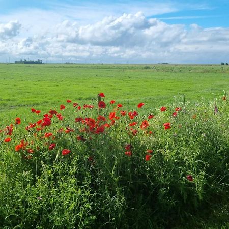 Lyklamastate Nijemirdum Bagian luar foto