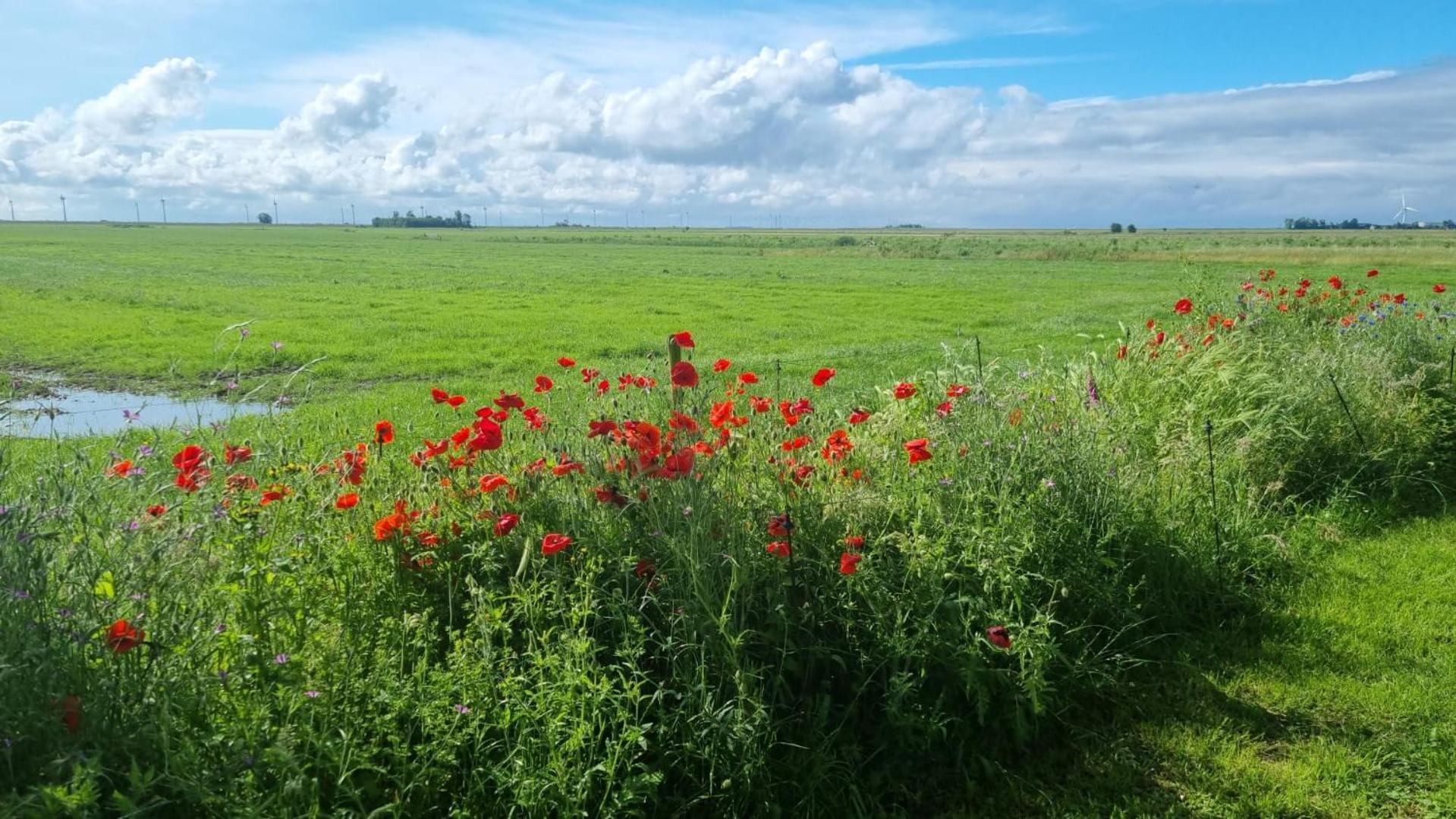 Lyklamastate Nijemirdum Bagian luar foto