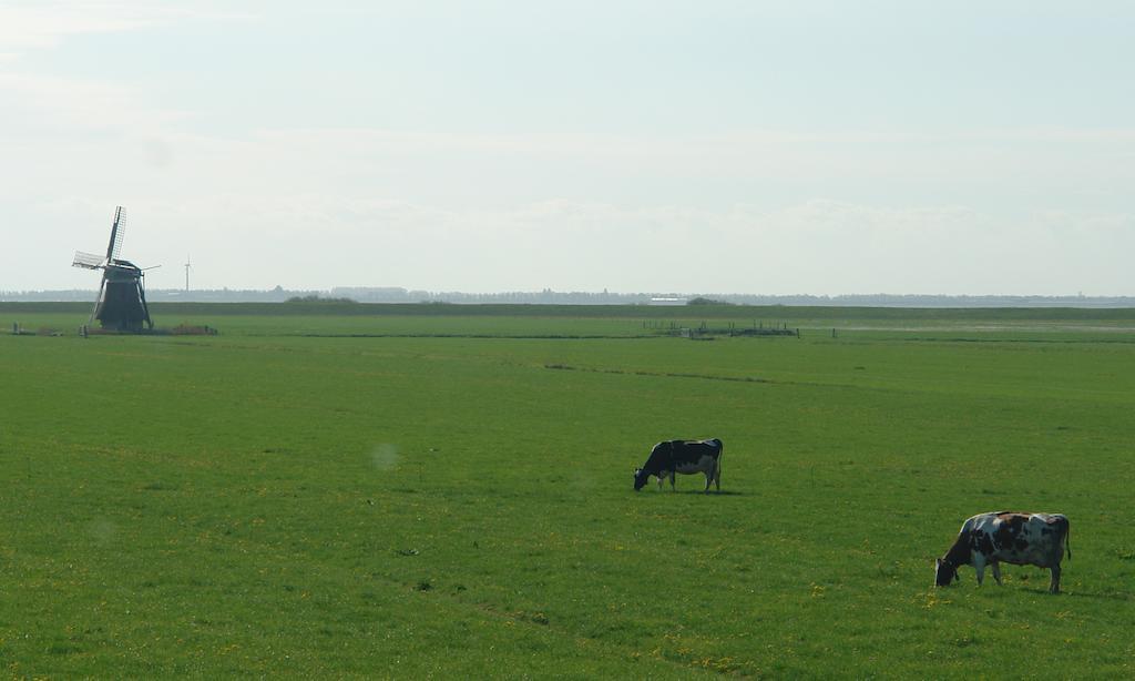 Lyklamastate Nijemirdum Bagian luar foto